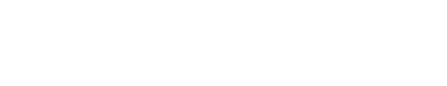 Snap Secure